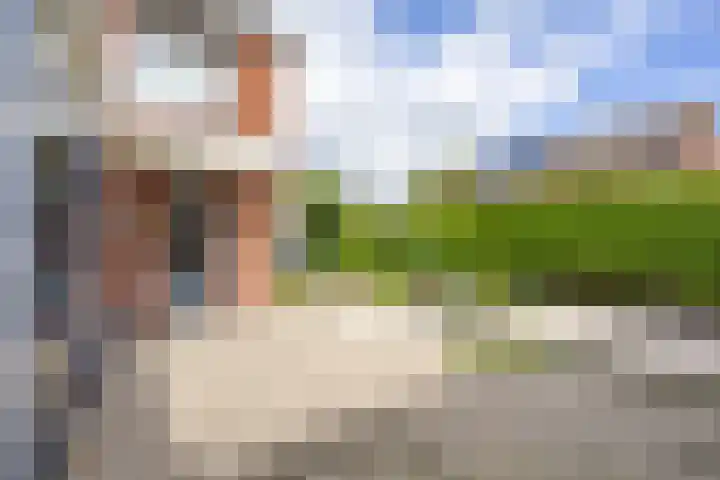 Kamperfoelie 80 Venray thumbnail 38
