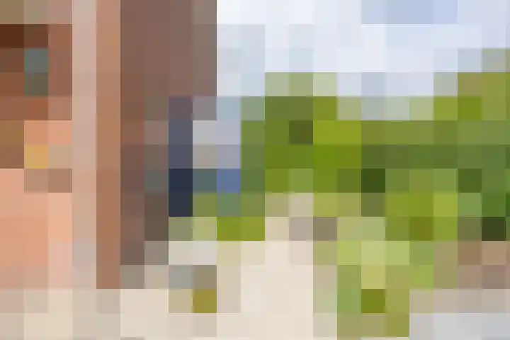 Kamperfoelie 80 Venray thumbnail 39