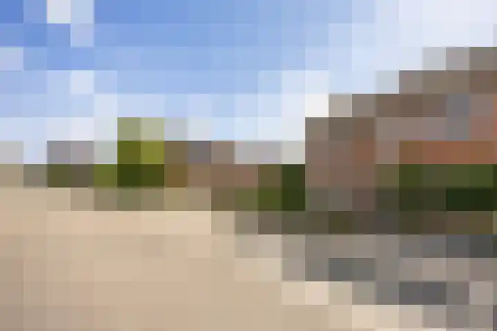Kamperfoelie 80 Venray thumbnail 4