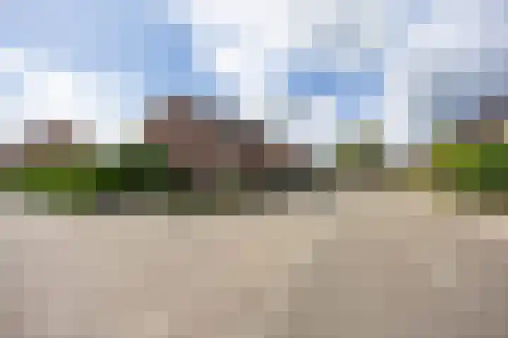 Kamperfoelie 80 Venray thumbnail 40