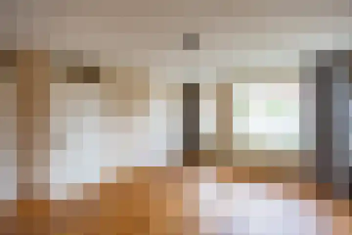 Kamperfoelie 80 Venray thumbnail 8