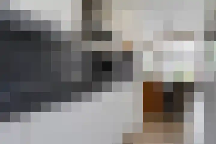 Kamperfoeliedreef 16 Bleiswijk thumbnail 10