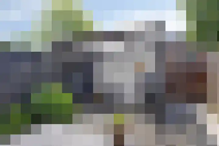 Kamperfoeliedreef 16 Bleiswijk thumbnail 14