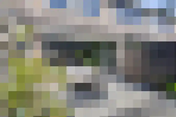 Kamperfoeliedreef 16 Bleiswijk thumbnail 15
