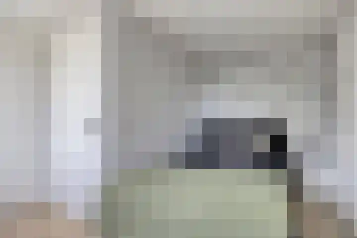 Kamperfoeliedreef 16 Bleiswijk thumbnail 29