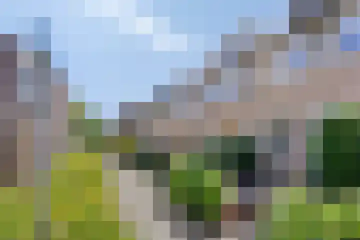 Kamperfoeliedreef 16 Bleiswijk thumbnail 31