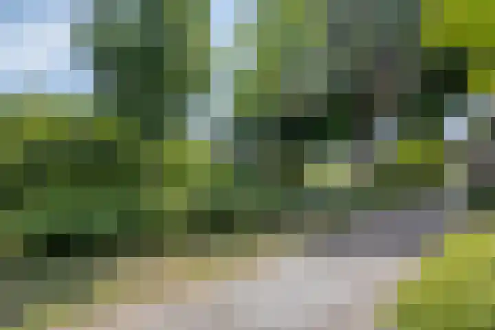 Kamperfoeliedreef 16 Bleiswijk thumbnail 32