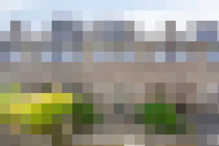 Kamperfoeliedreef 16 Bleiswijk thumbnail 37