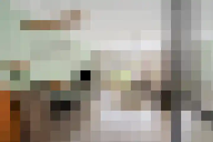 Kamperfoeliedreef 16 Bleiswijk thumbnail 6