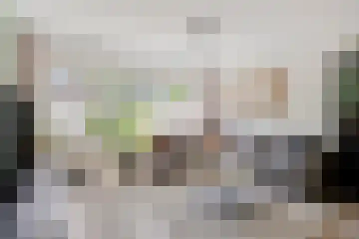 Kamperfoeliedreef 16 Bleiswijk thumbnail 7