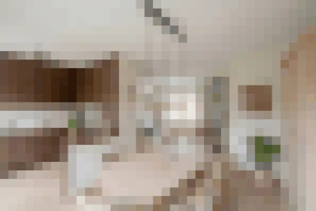 Kamperfoeliehof 16 Nootdorp thumbnail 12