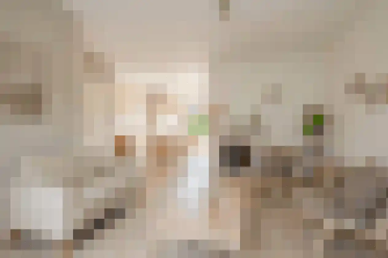 Kamperfoeliehof 16 Nootdorp thumbnail 17