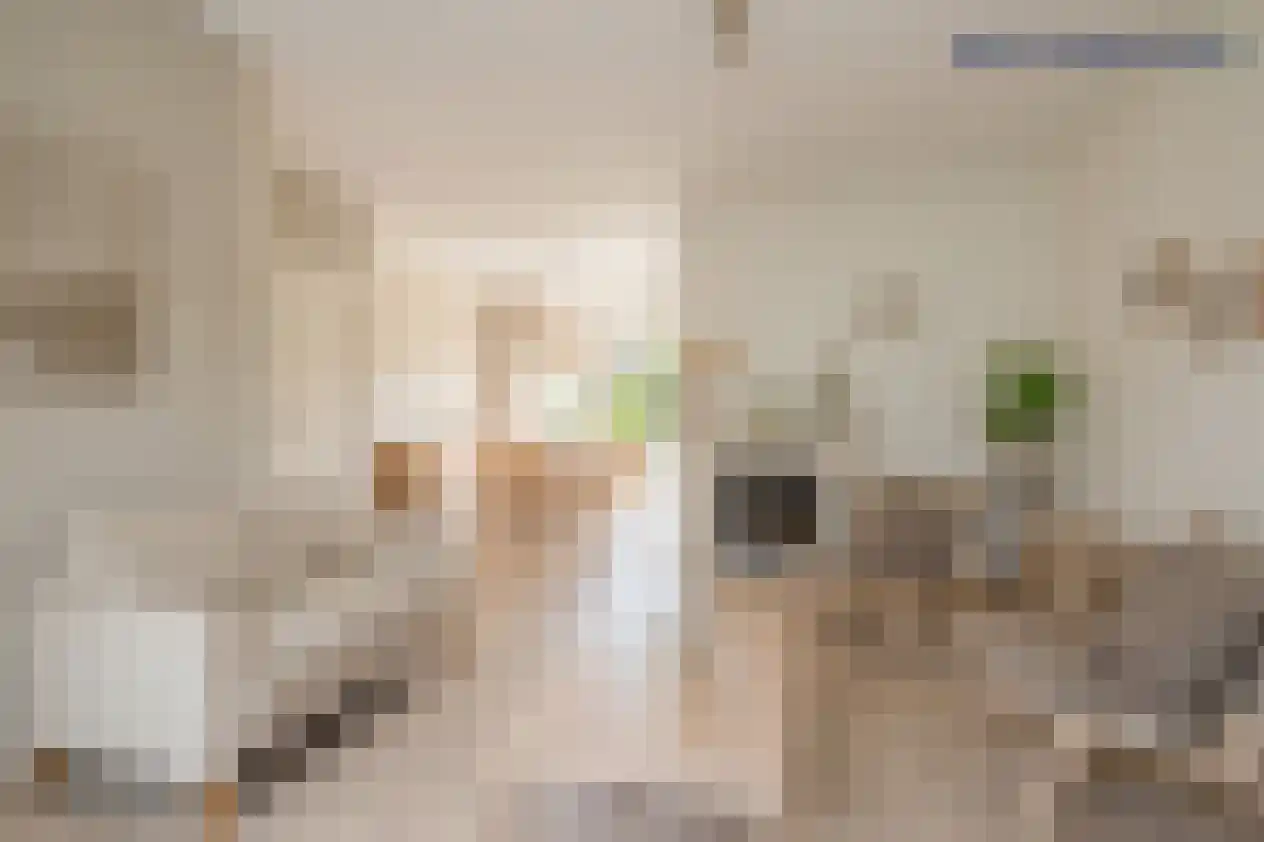 Kamperfoeliehof 16 Nootdorp thumbnail 17