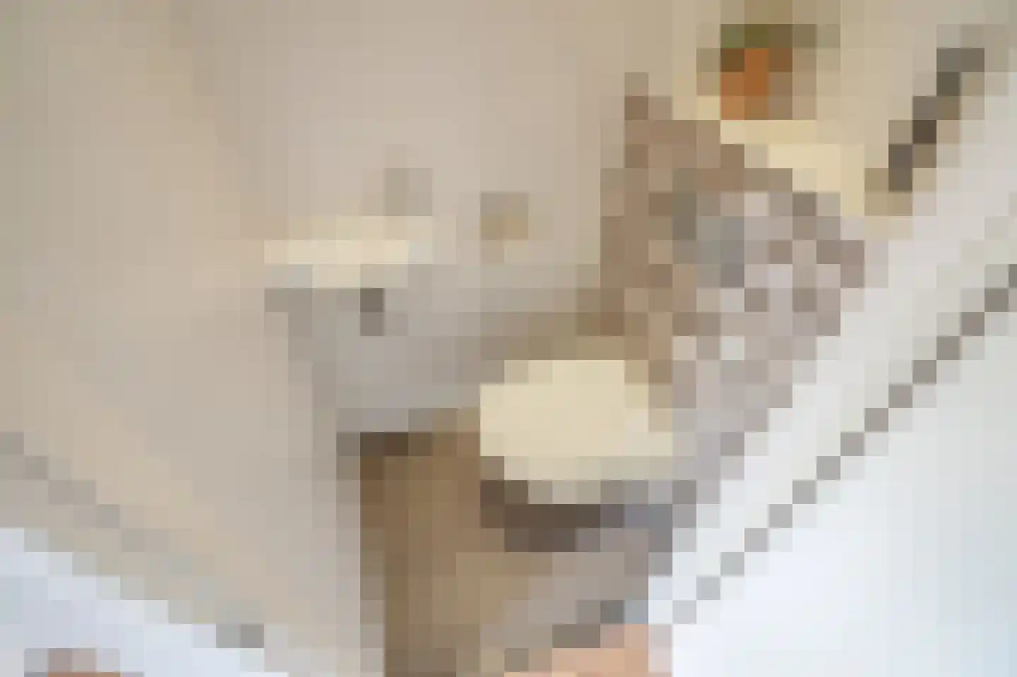 Kamperfoeliehof 16 Nootdorp thumbnail 20