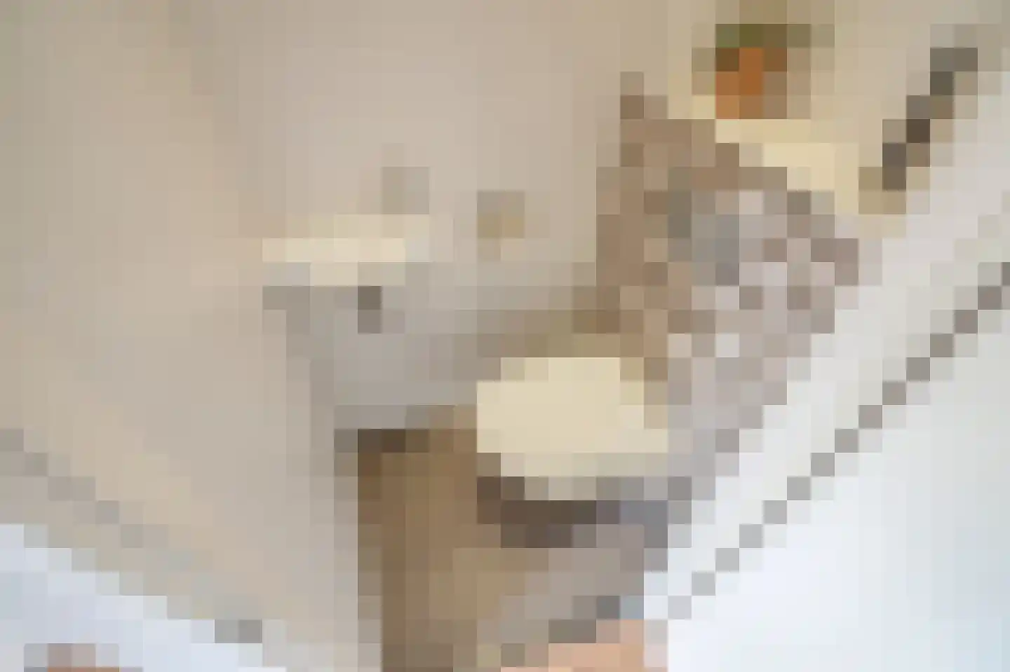 Kamperfoeliehof 16 Nootdorp thumbnail 22