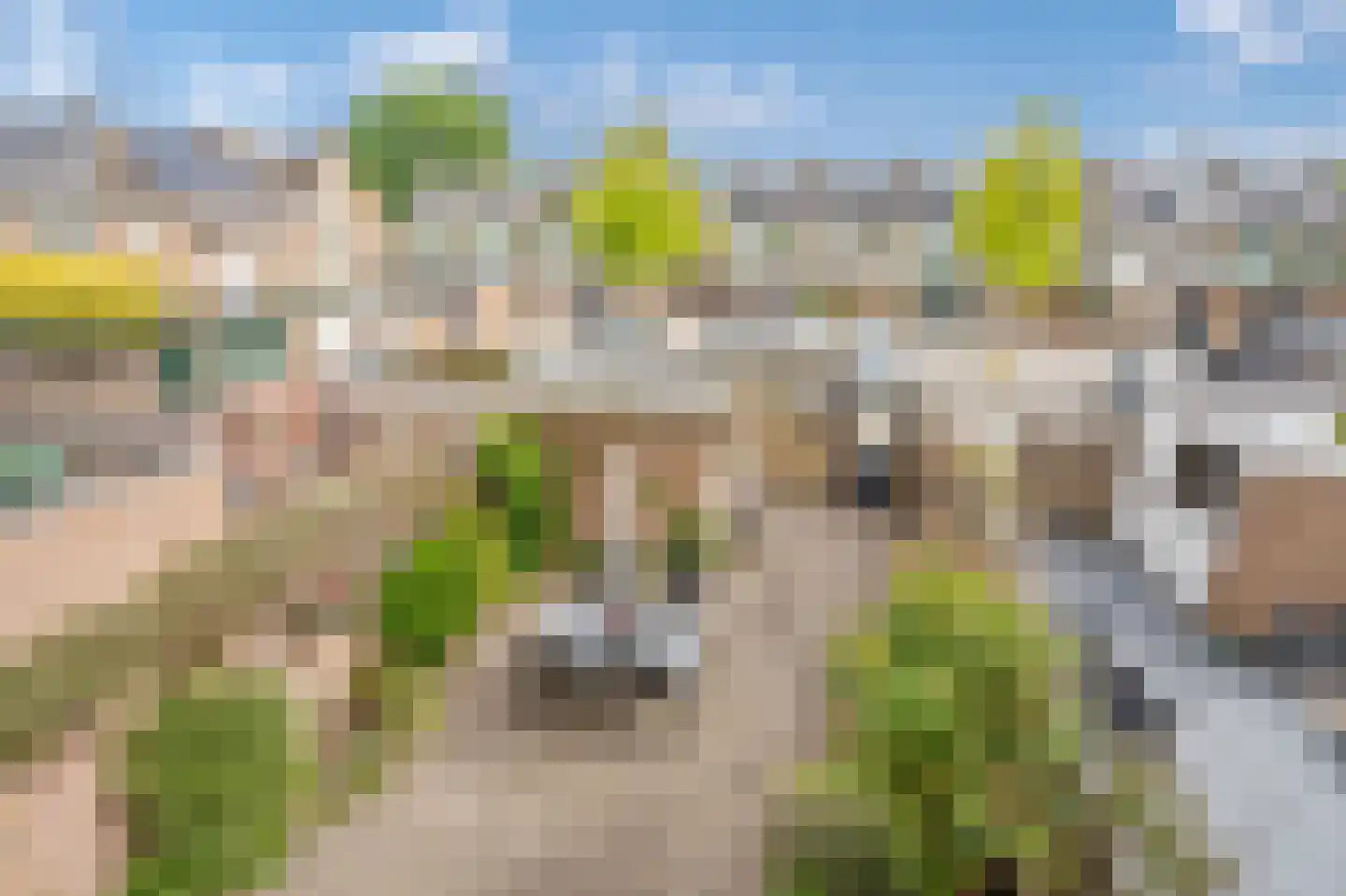 Kamperfoeliehof 16 Nootdorp thumbnail 34