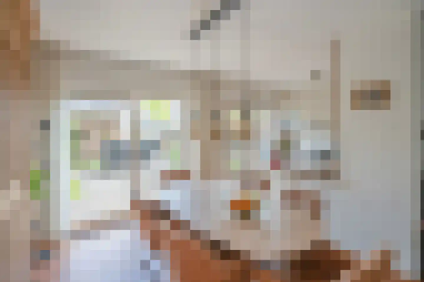 Kamperfoeliehof 16 Nootdorp thumbnail 8