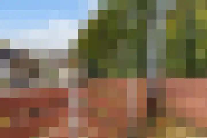 Kamperfoeliehof 21 Ermelo thumbnail 29