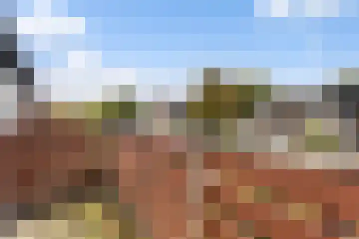 Kamperfoeliehof 21 Ermelo thumbnail 30