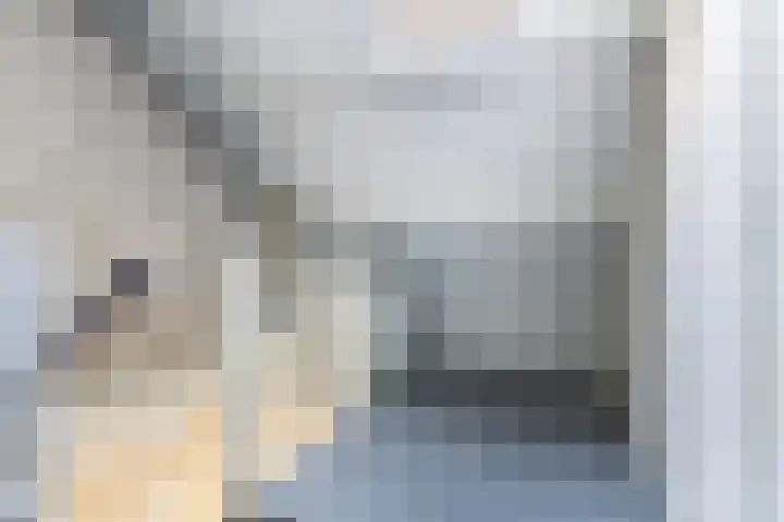 Kamperfoeliehof 21 Ermelo thumbnail 32