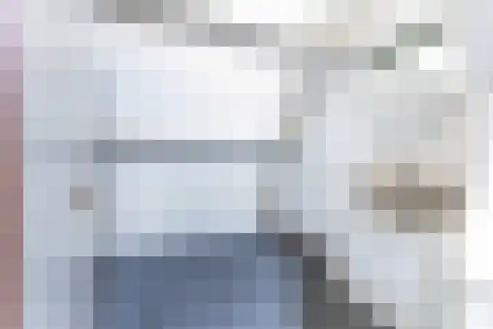 Kamperfoeliehof 21 Ermelo thumbnail 33