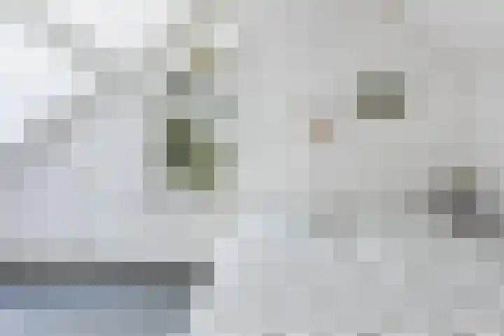 Kamperfoeliehof 21 Ermelo thumbnail 34