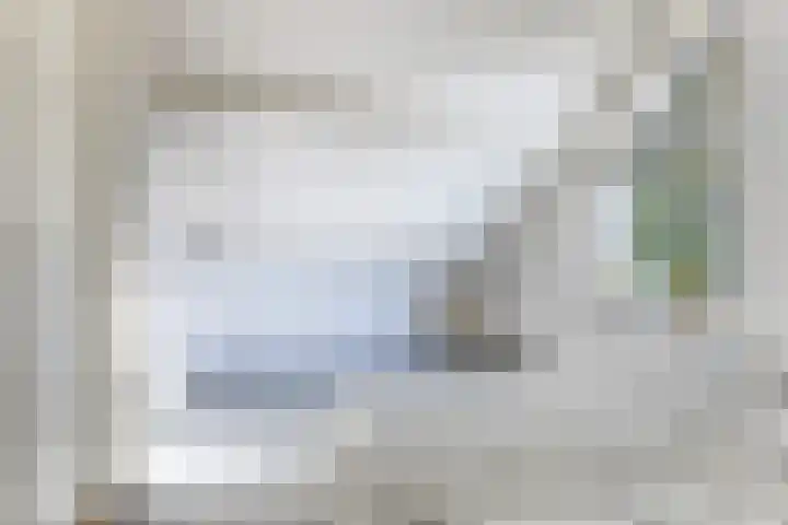 Kamperfoeliehof 21 Ermelo thumbnail 35