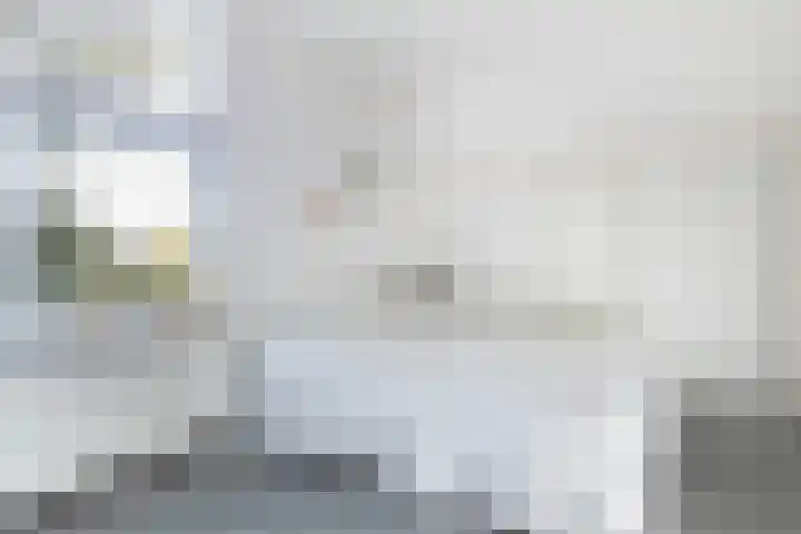 Kamperfoeliehof 21 Ermelo thumbnail 36