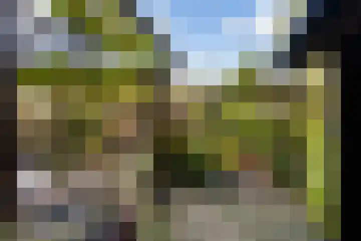 Kamperfoeliehof 21 Ermelo thumbnail 37