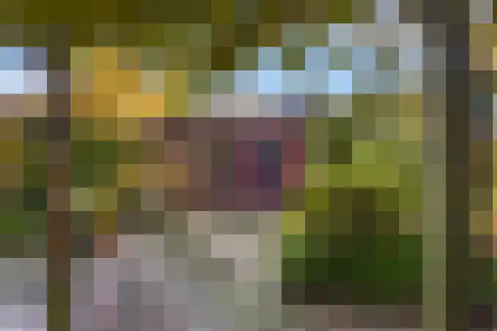 Kamperfoeliehof 21 Ermelo thumbnail 38