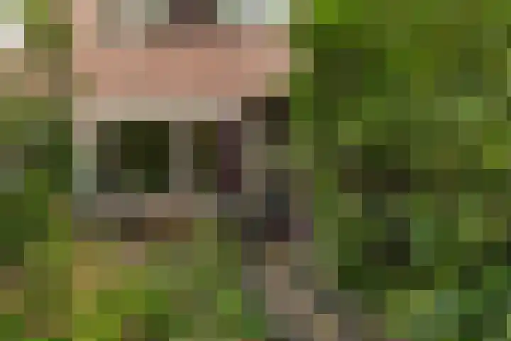 Kamperfoeliehof 21 Ermelo thumbnail 4