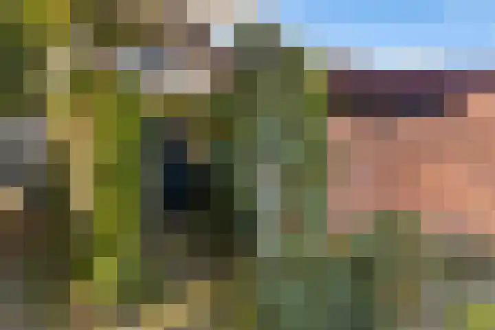 Kamperfoeliehof 21 Ermelo thumbnail 40