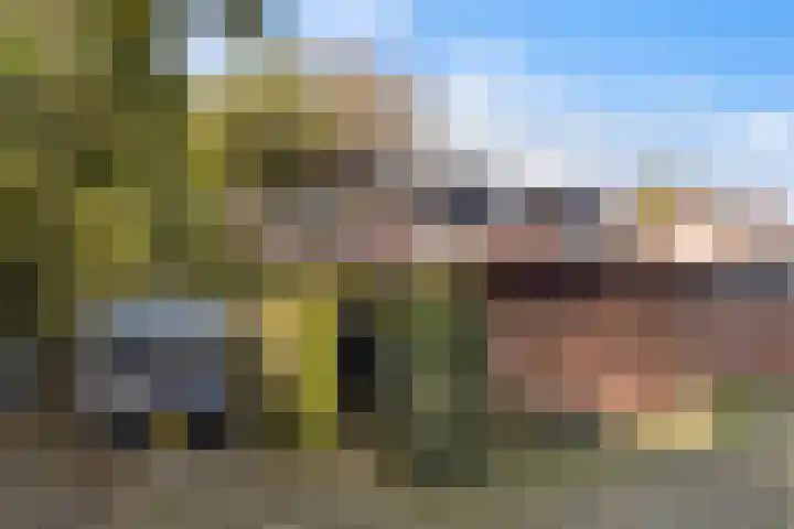 Kamperfoeliehof 21 Ermelo thumbnail 41