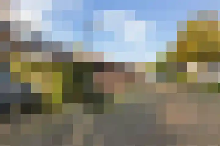 Kamperfoeliehof 21 Ermelo thumbnail 42