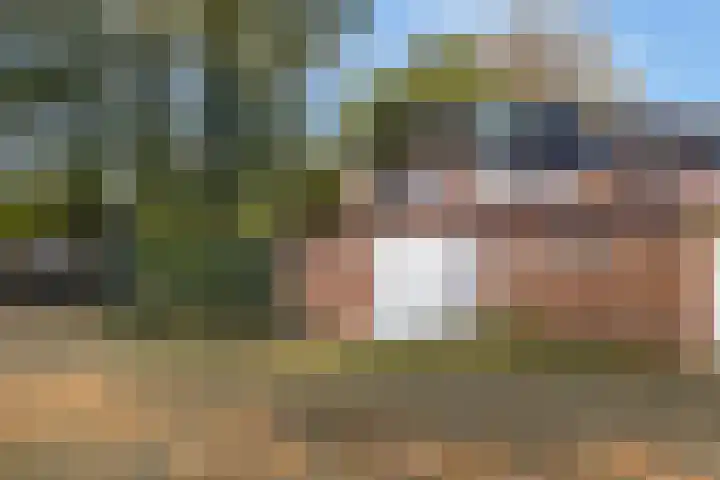 Kamperfoeliehof 21 Ermelo thumbnail 43