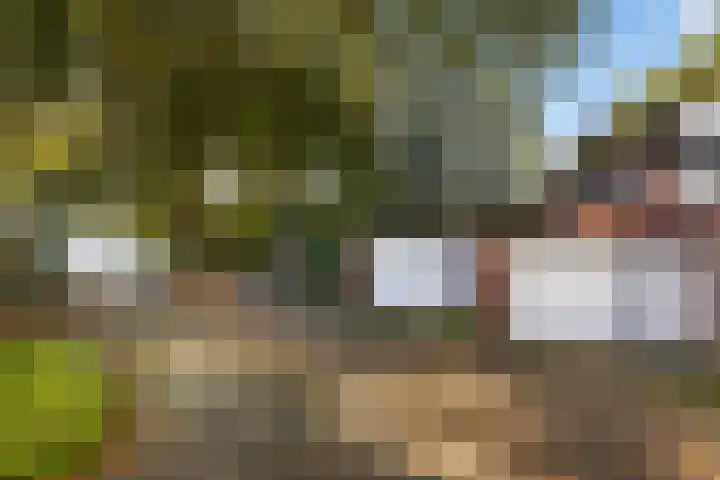 Kamperfoeliehof 21 Ermelo thumbnail 44