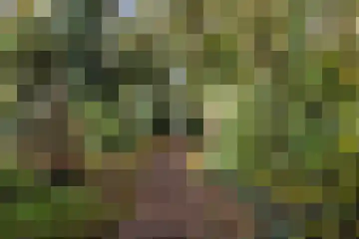 Kamperfoeliehof 21 Ermelo thumbnail 45