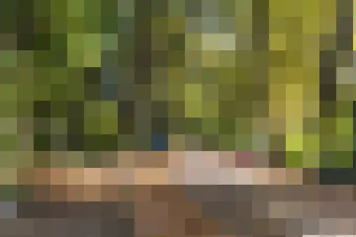 Kamperfoeliehof 21 Ermelo thumbnail 46