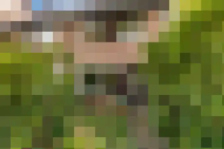 Kamperfoeliehof 21 Ermelo thumbnail 47