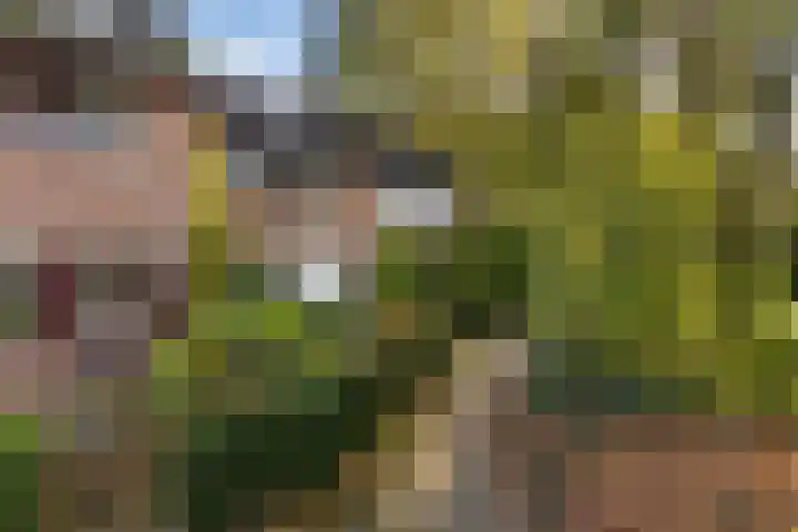 Kamperfoeliehof 21 Ermelo thumbnail 48