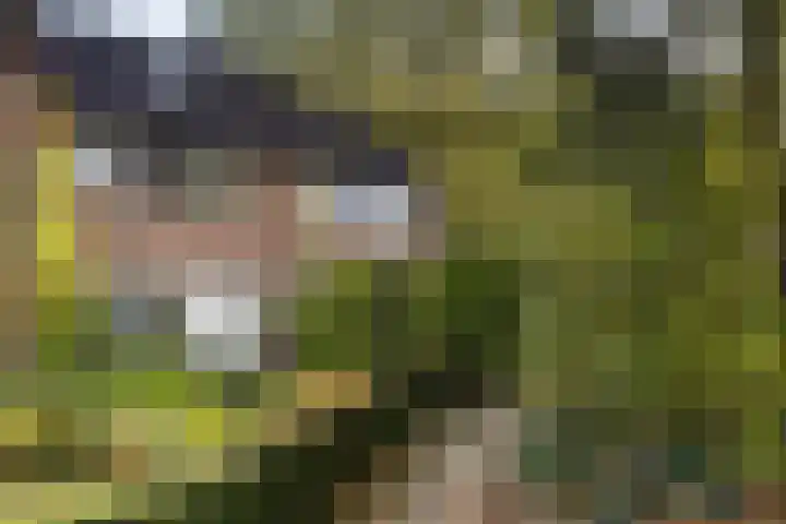 Kamperfoeliehof 21 Ermelo thumbnail 49