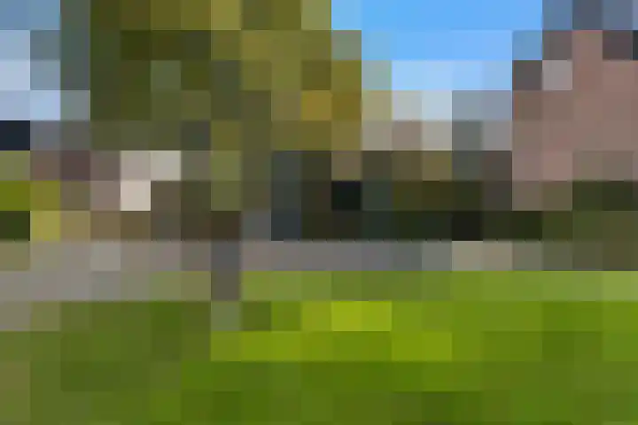 Kamperfoeliehof 21 Ermelo thumbnail 51