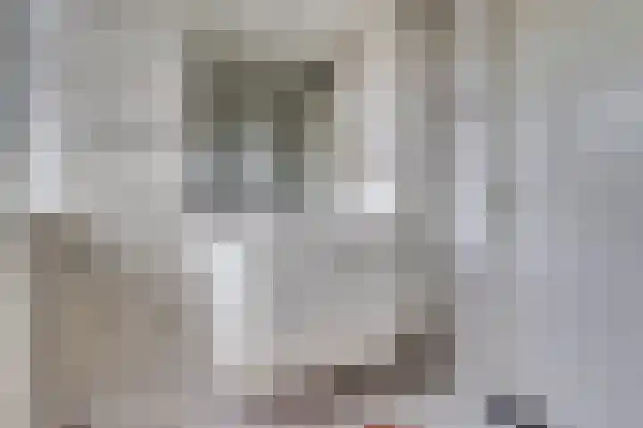 Kamperfoeliehof 33 Ermelo thumbnail 30