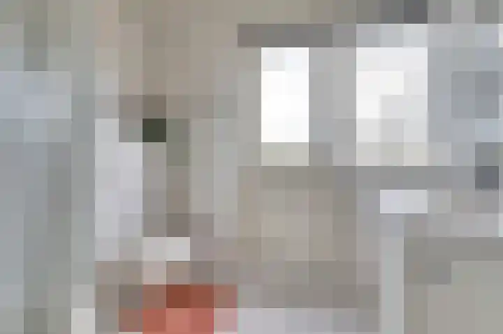 Kamperfoeliehof 33 Ermelo thumbnail 31