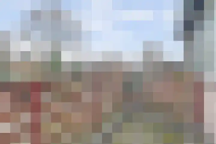 Kamperfoeliehof 33 Ermelo thumbnail 34