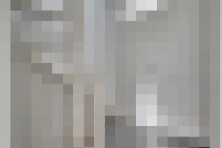 Kamperfoeliehof 33 Ermelo thumbnail 35
