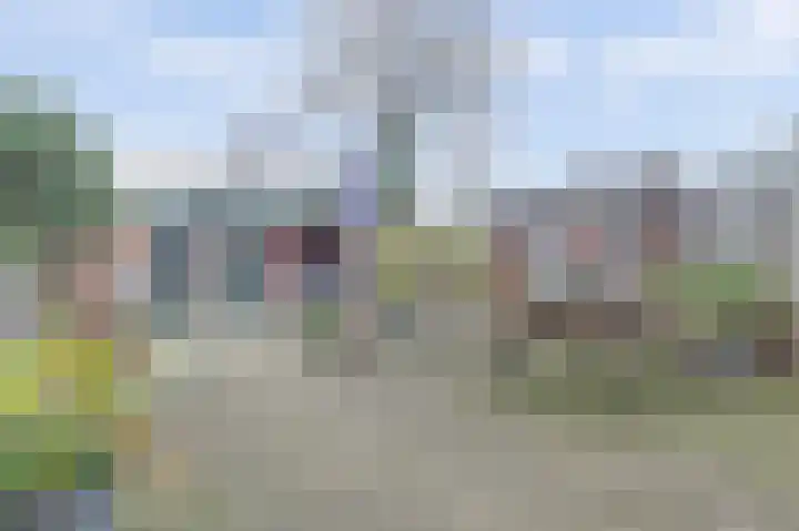 Kamperfoeliehof 33 Ermelo thumbnail 4