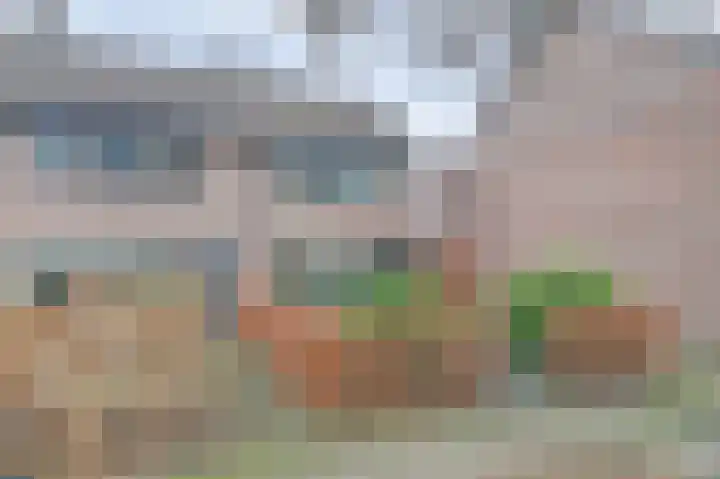 Kamperfoeliehof 33 Ermelo thumbnail 40
