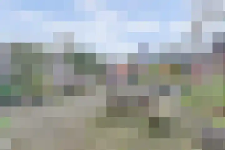 Kamperfoeliehof 33 Ermelo thumbnail 43