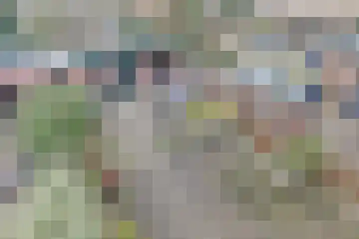 Kamperfoeliehof 33 Ermelo thumbnail 45